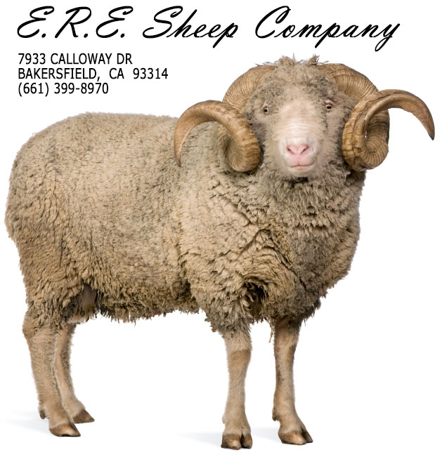 E.R.E. Sheep Company